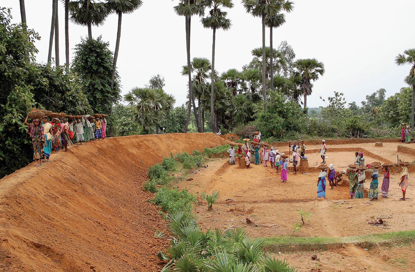 The Story of Rukkanapalle